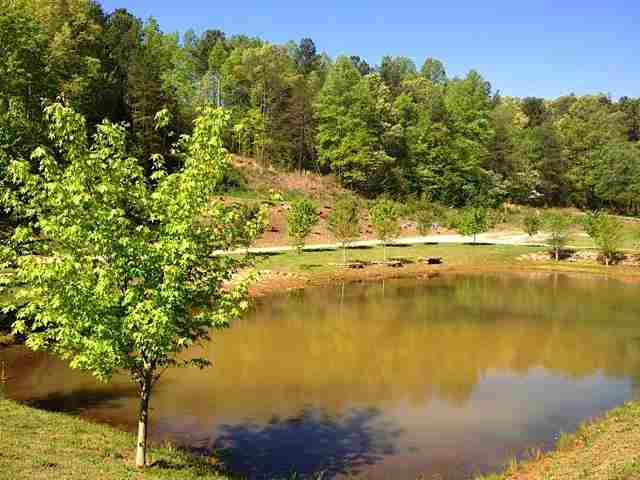 432 Winding Creek Road Liberty, SC 29657 - Photo 14 of 20