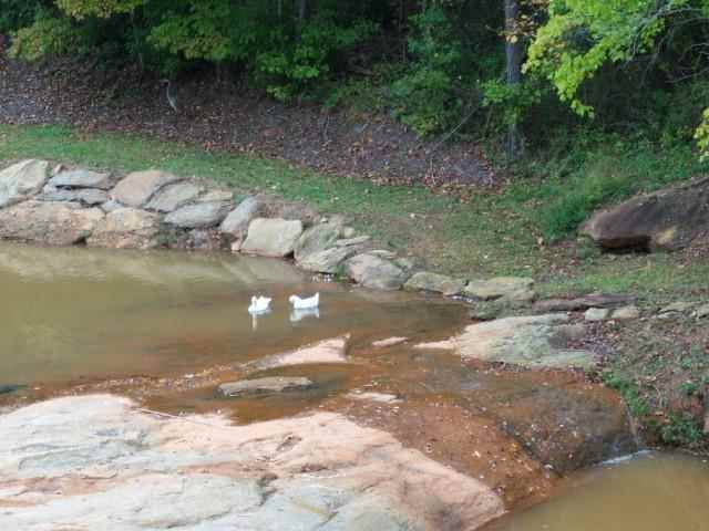 432 Winding Creek Road Liberty, SC 29657 - Photo 4 of 20