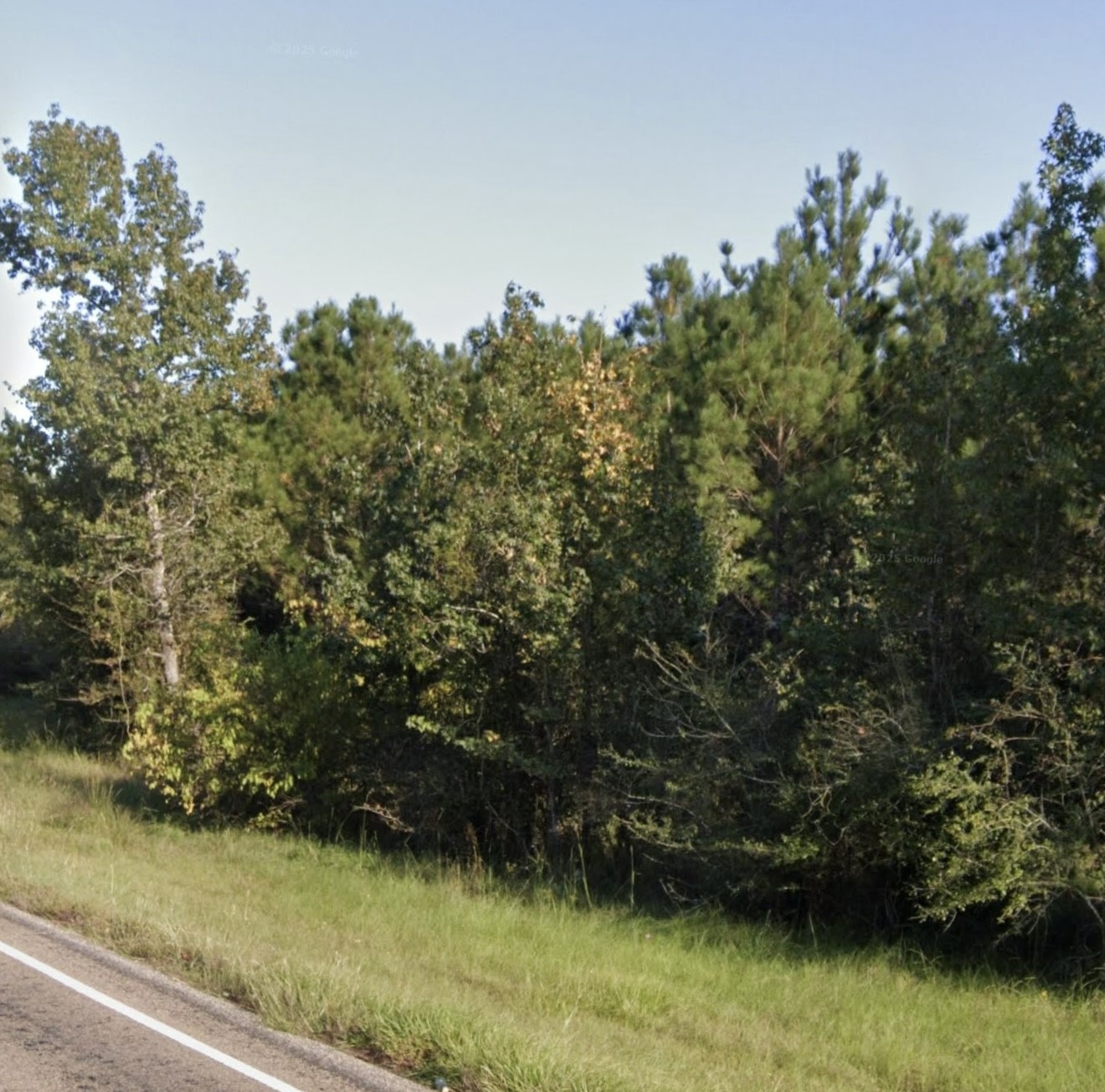 0 Fm 357 Corrigan, TX 75939 - Photo 6 of 8 a view of a lake