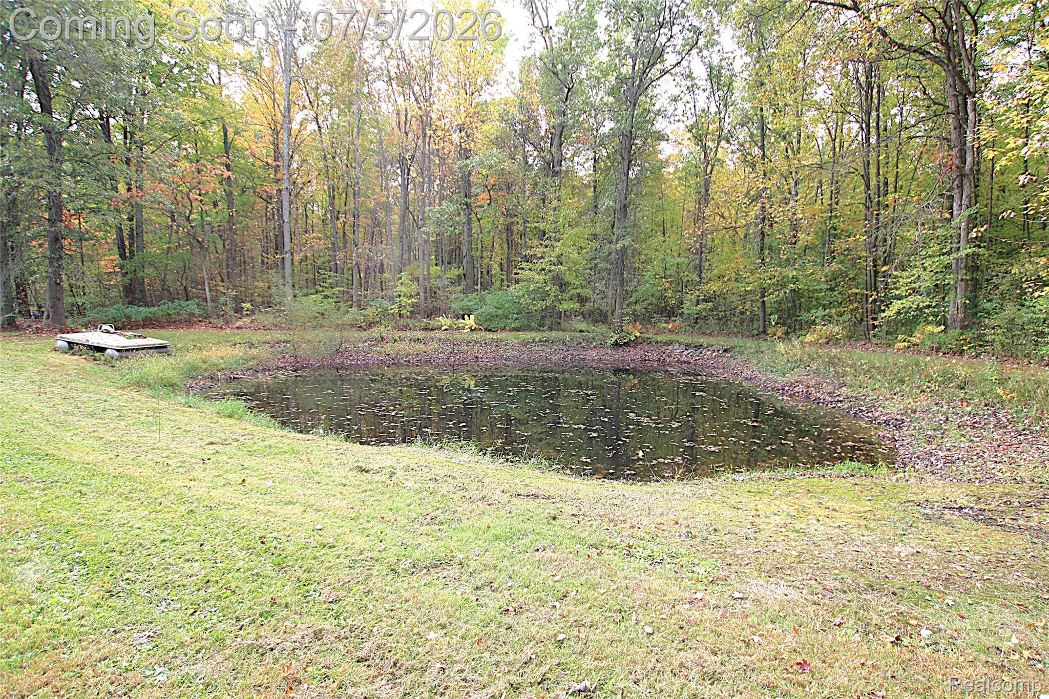 12403 Willard Road Montrose, MI 48457 - Photo 10 of 30 View of grassy yard with a forest view