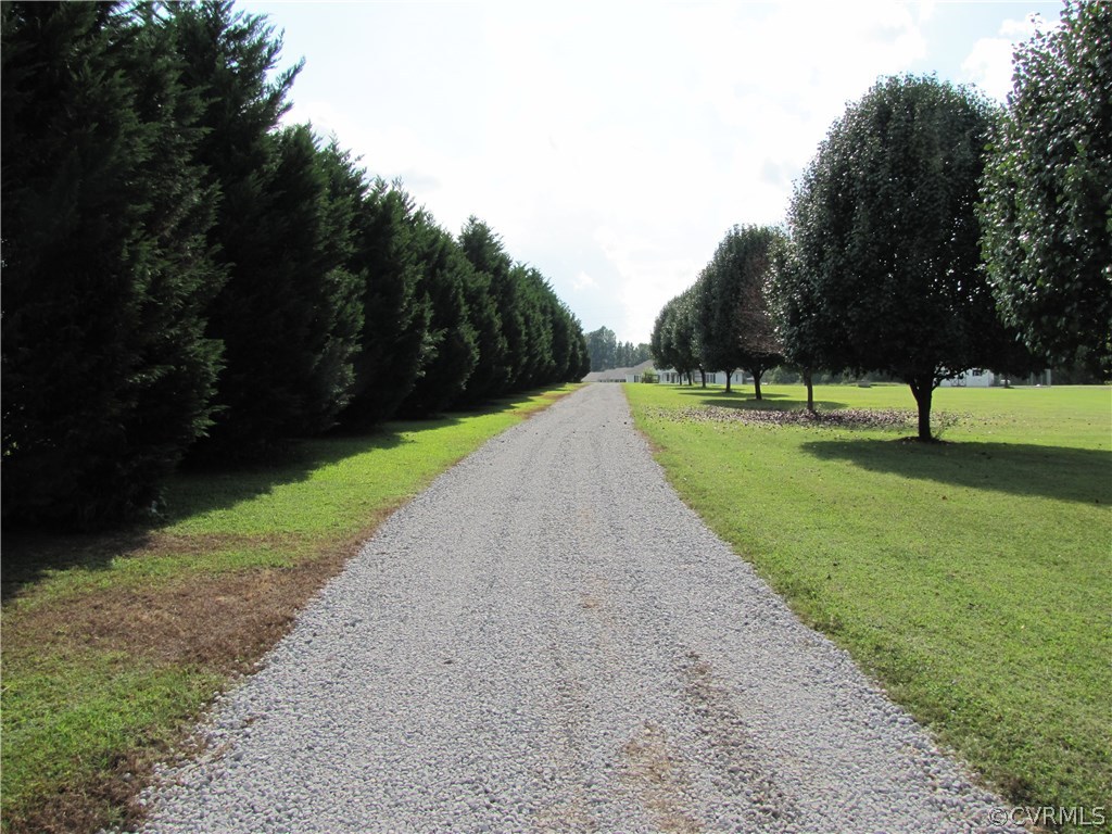 Driveway between the 2 neighbors