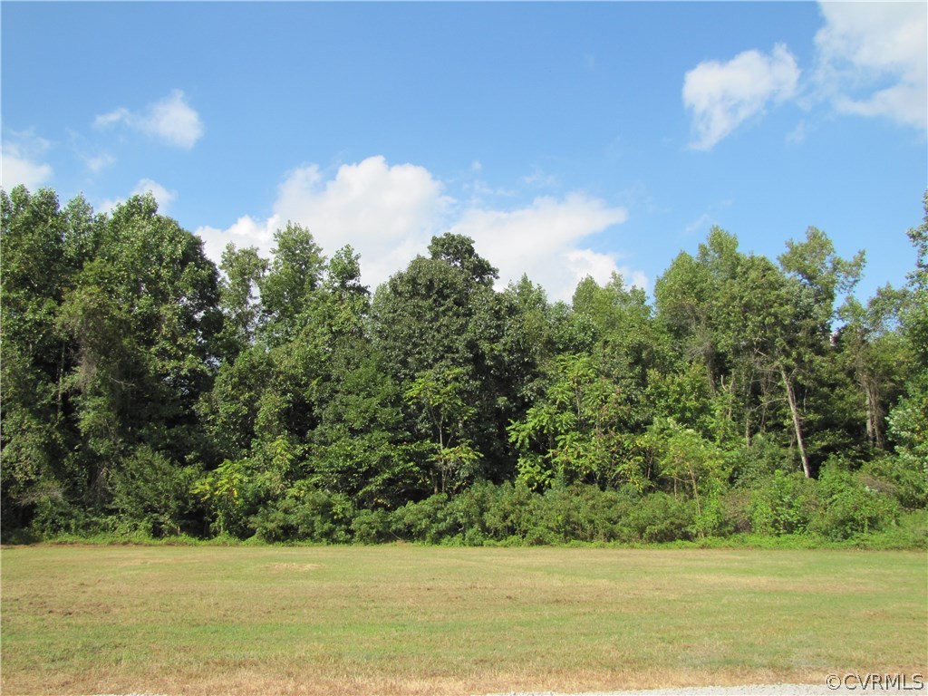 15276 Lebanon Road Spring Grove, VA 23881 - Photo 10 of 21 Backyard view