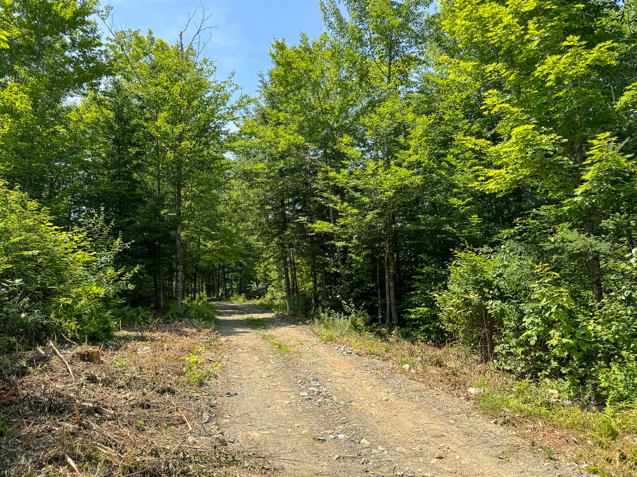 50 Wilderness Park Road Winn, ME 04495 - Photo 14 of 30 IMG_6800