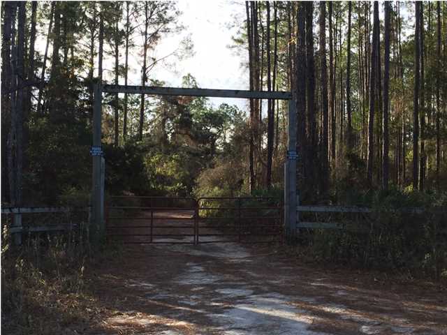 526 Mill Road Carrabelle, FL 32322 - Photo 1 of 9 Gallery Image 1