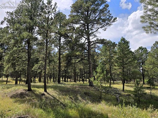 0 Meridian Road Colorado Springs, CO 80908 - Photo 4 of 21