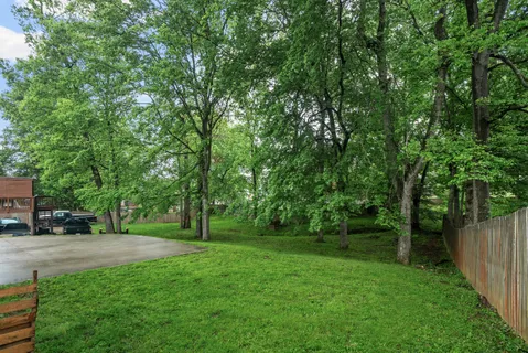 a view of park with trees