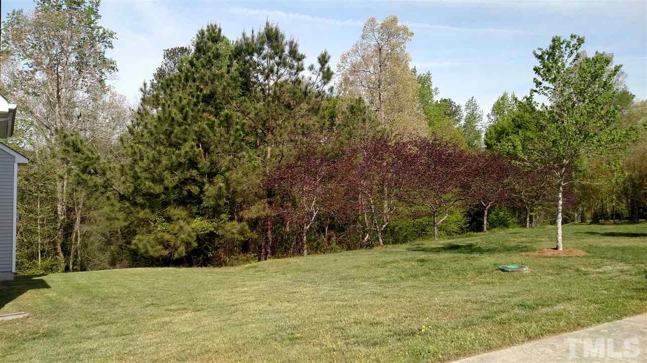 2304 Spruce Shadows Lane Raleigh, NC 27614 - Photo 21 of 25 a view of a field with trees