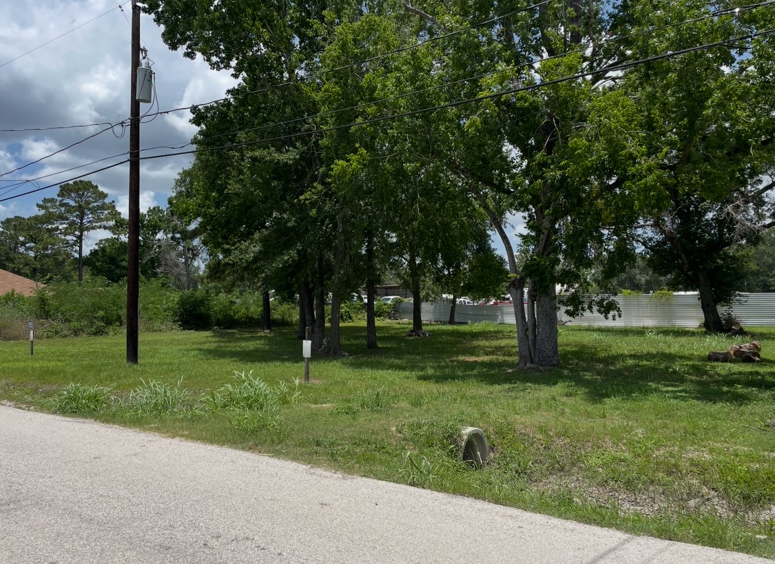 a view of a garden with trees