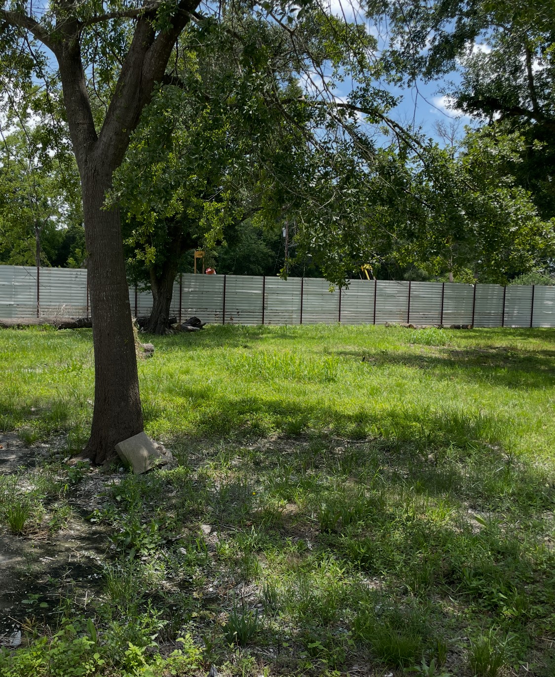 5203 Mayle Street Houston, TX 77016 - Photo 2 of 6 a view of a yard with a tree