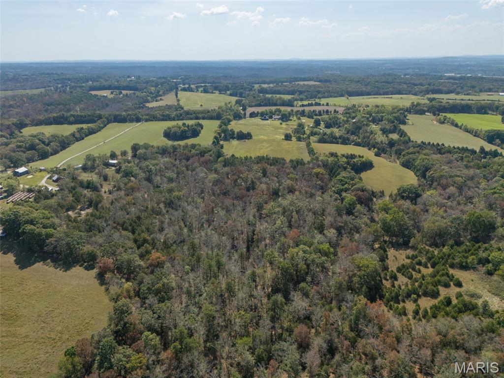 13423 Roth Road Bonne Terre, MO 63628 - Photo 25 of 92