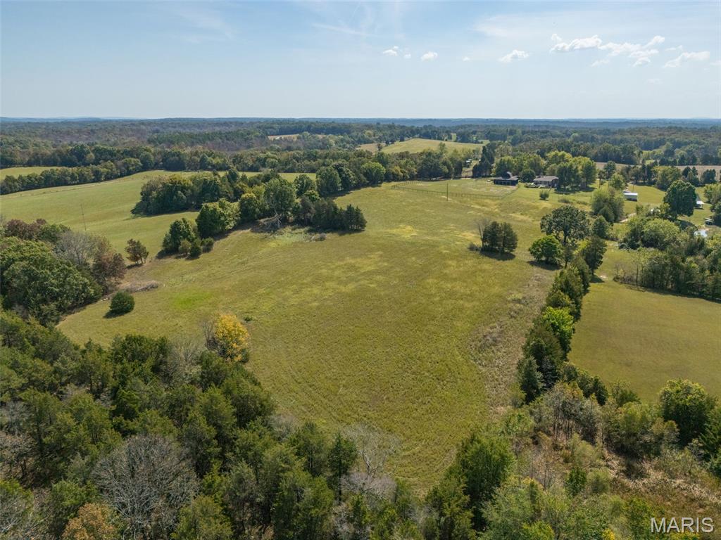 13423 Roth Road Bonne Terre, MO 63628 - Photo 26 of 92