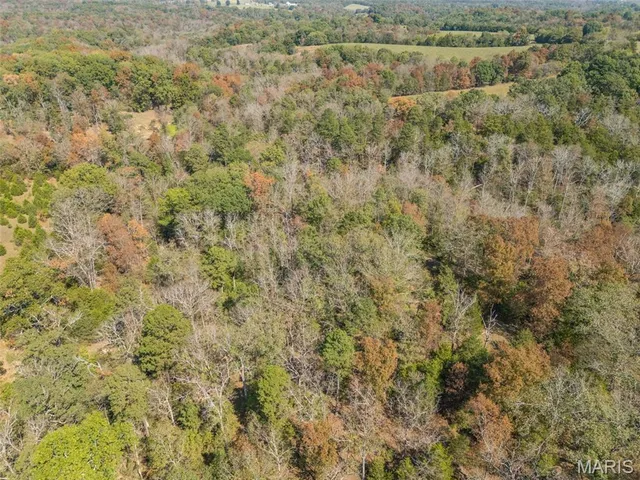 $580,000 | 13423 Roth Road, Bonne Terre, MO 63628