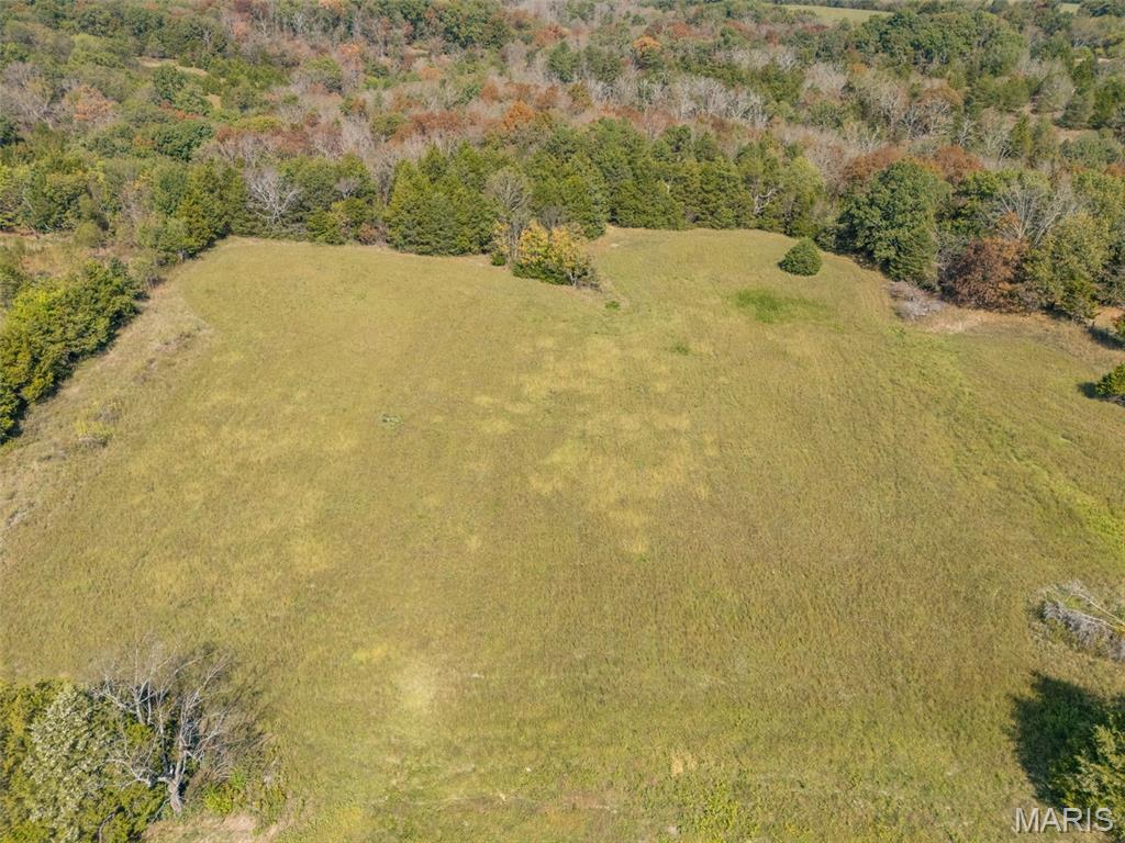 13423 Roth Road Bonne Terre, MO 63628 - Photo 28 of 92