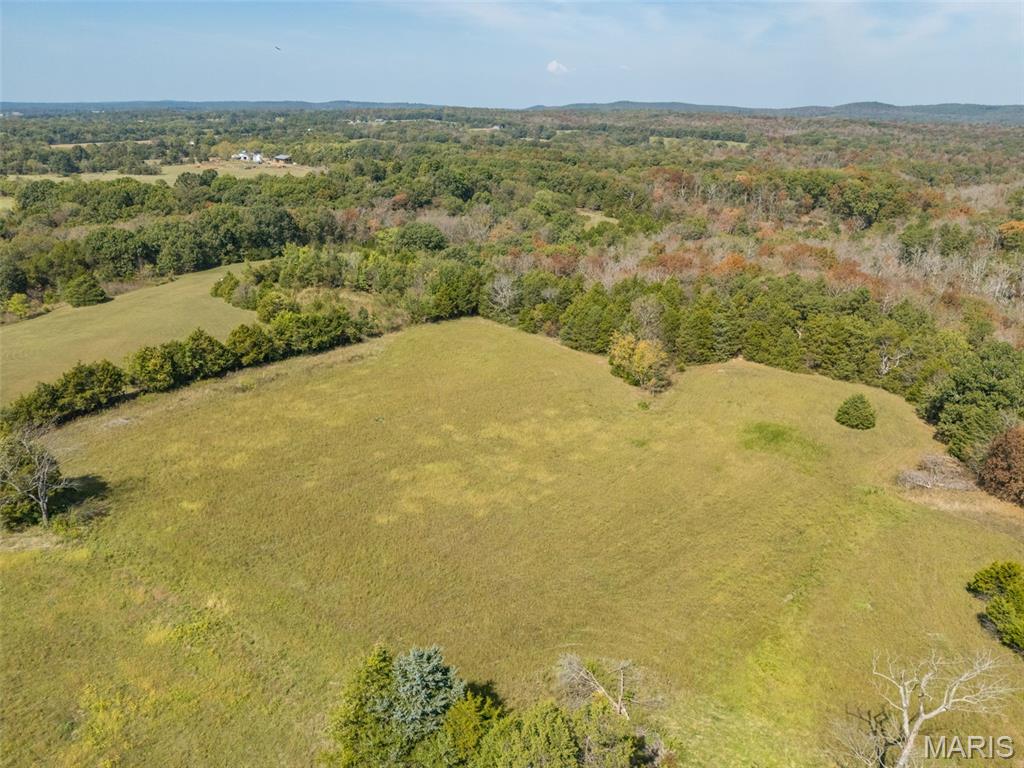 13423 Roth Road Bonne Terre, MO 63628 - Photo 29 of 92