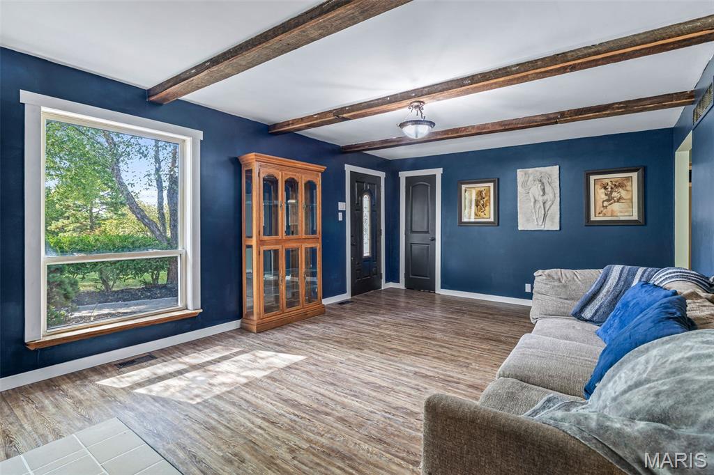 13423 Roth Road Bonne Terre, MO 63628 - Photo 47 of 92