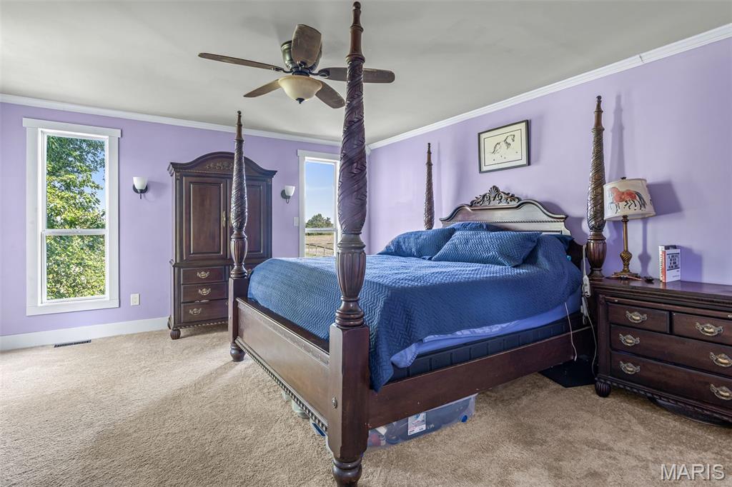 13423 Roth Road Bonne Terre, MO 63628 - Photo 53 of 92