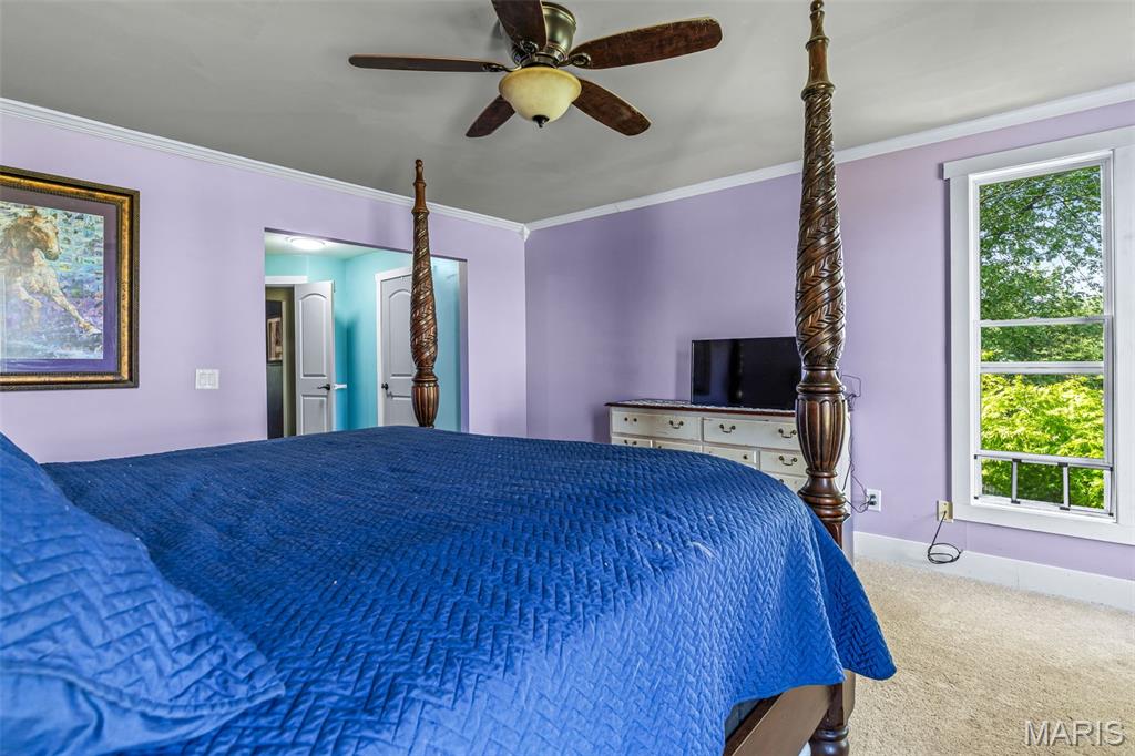 13423 Roth Road Bonne Terre, MO 63628 - Photo 54 of 92