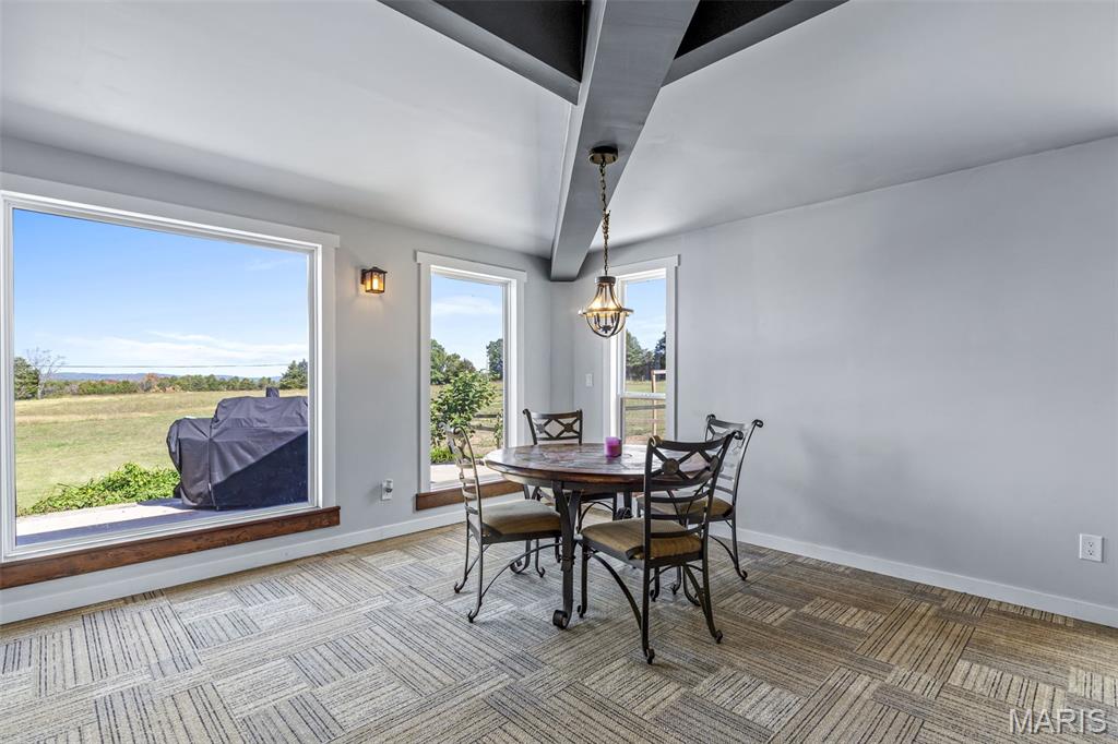 13423 Roth Road Bonne Terre, MO 63628 - Photo 77 of 92