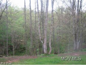755 Rhodes Road Lowell, OH 45744 - Photo 5 of 14 About 4 acres woods