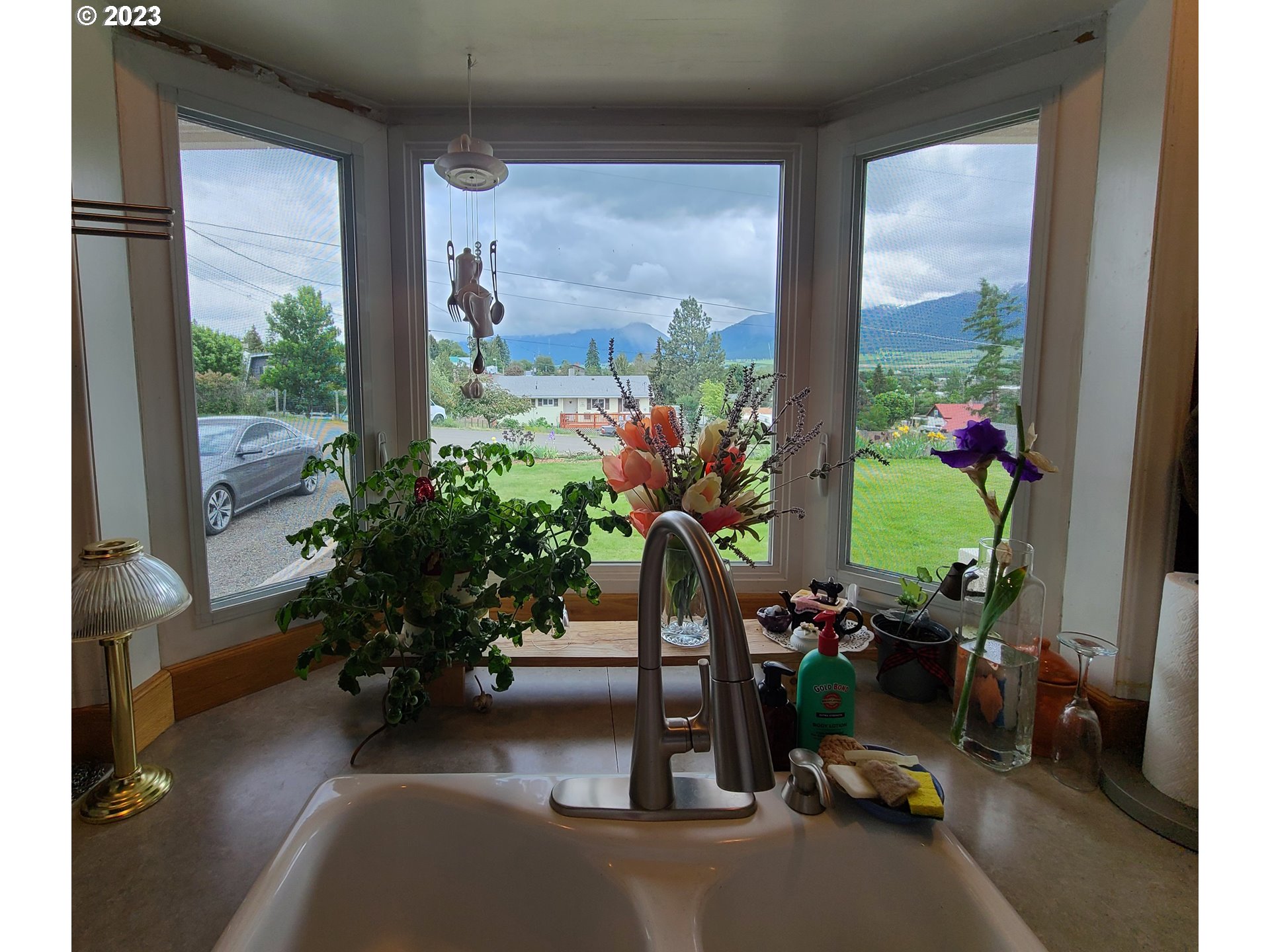313 Northeast Garfield Street Enterprise, OR 97828 - Photo 3 of 24 a room with furniture and a potted plant