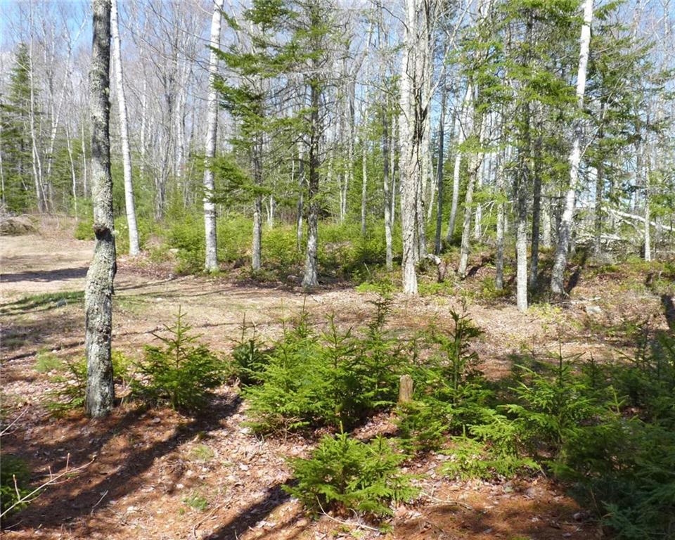 Lot 5-6 Tannery Brook Road Ellsworth, ME 04605 - Photo 12 of 13 Photo
