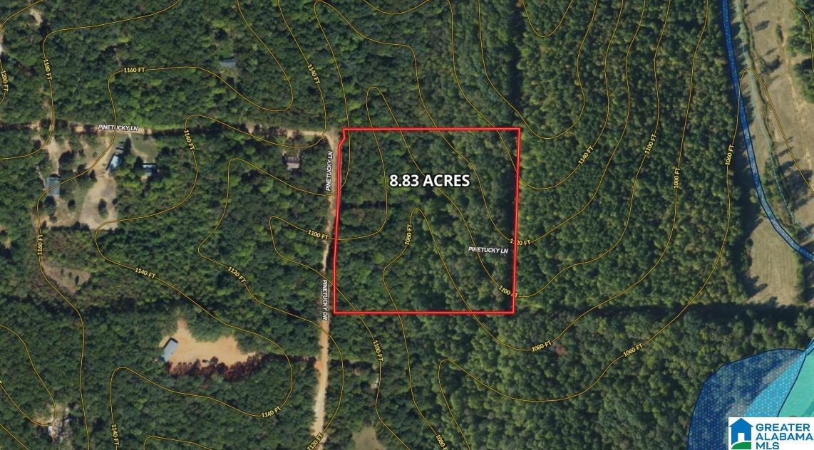 0 Pinetucky Lane Heflin, AL 36264 - Photo 16 of 16