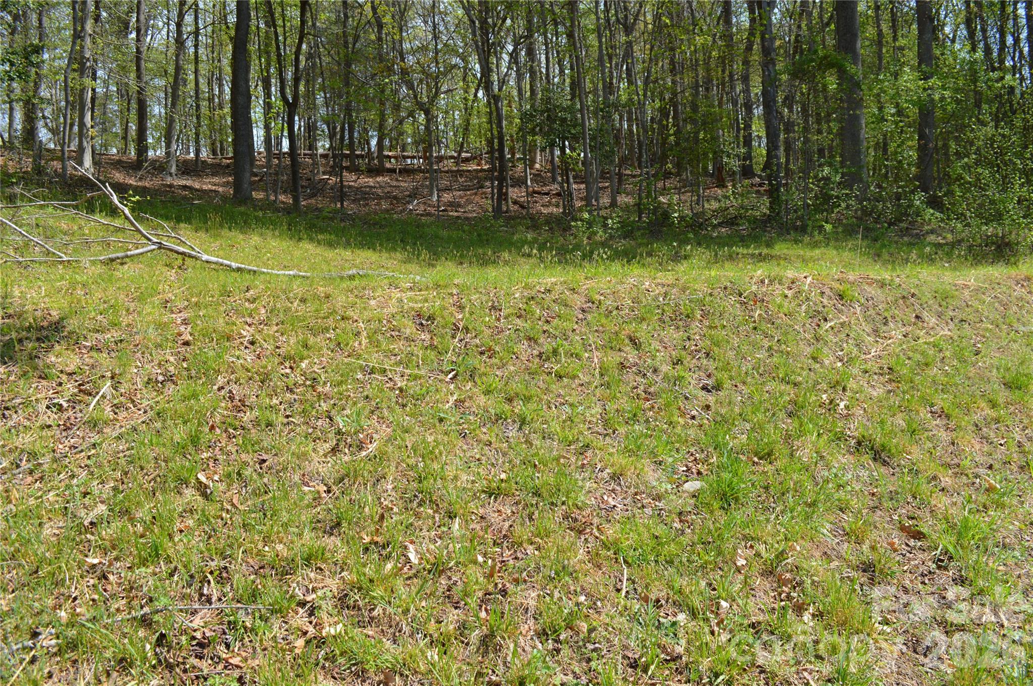 191 Flat Rock Hill Road Tryon, NC 28782 - Photo 7 of 32