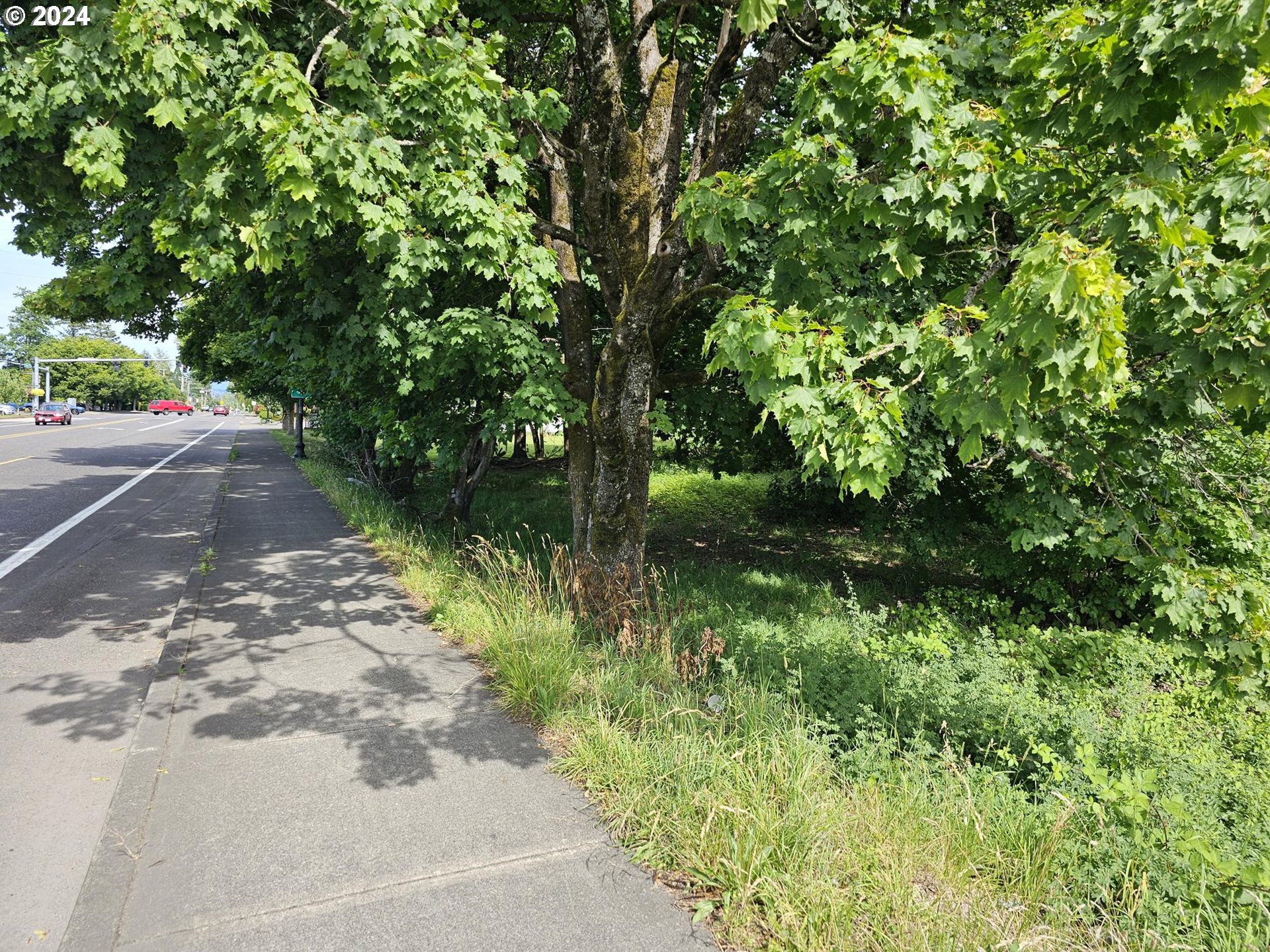 23654 Northeast Halsey Street Wood Village, OR 97060 - Photo 2 of 5 a view of yard