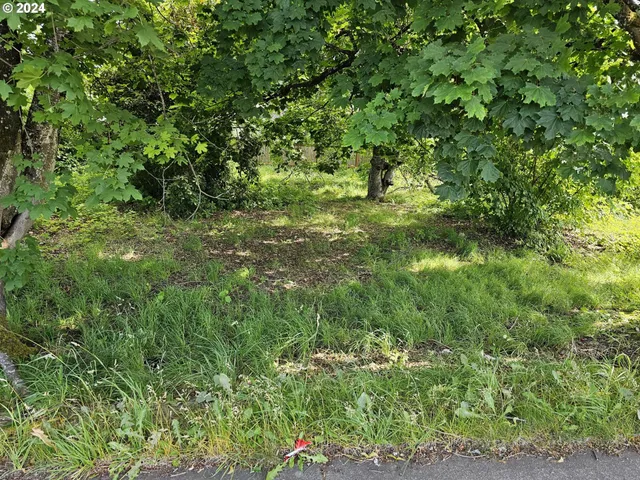 a view of a lush green space