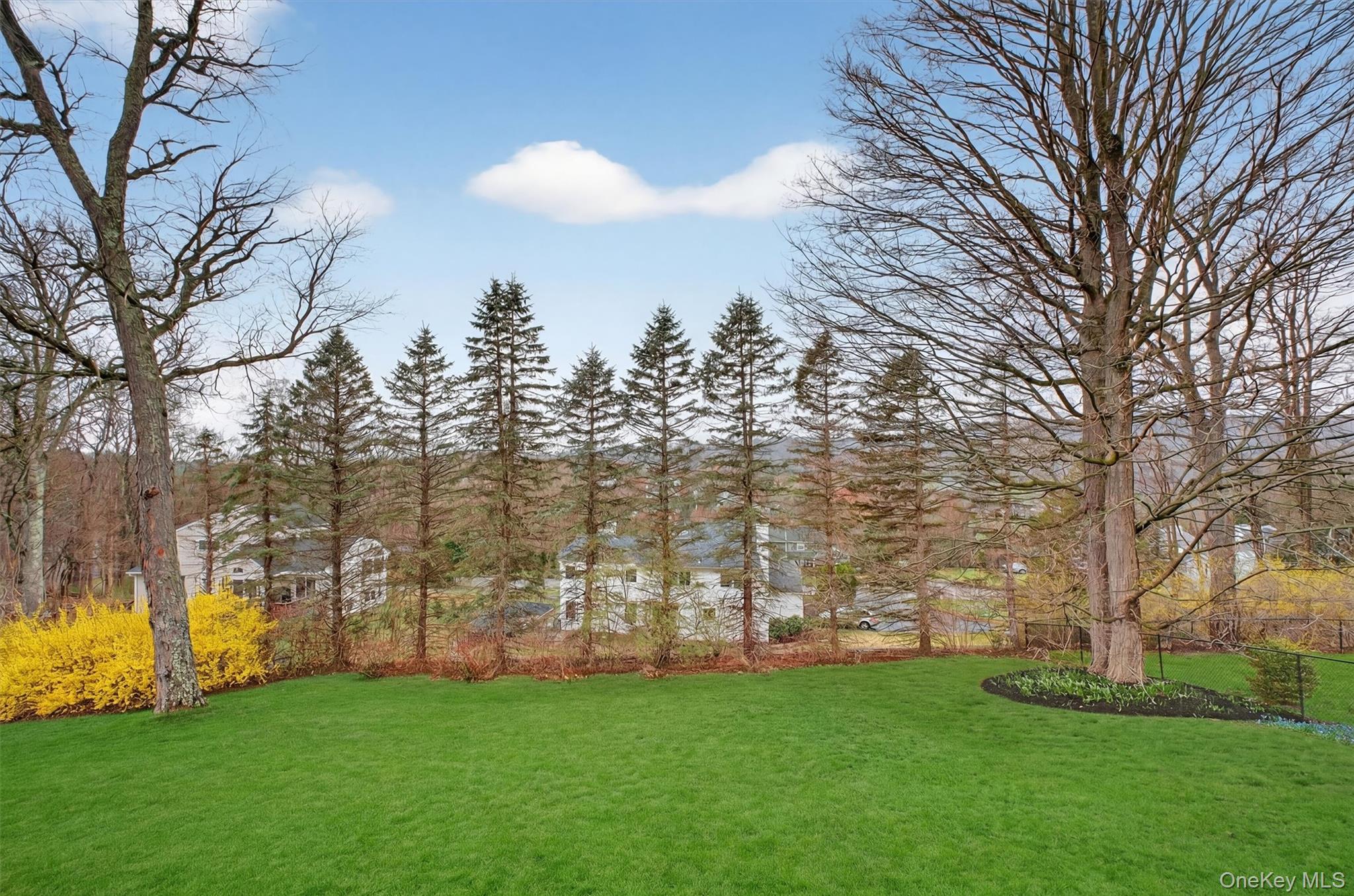 45 East Hill Road Cortlandt Manor, NY 10567 - Photo 47 of 48 a view of yard with trees