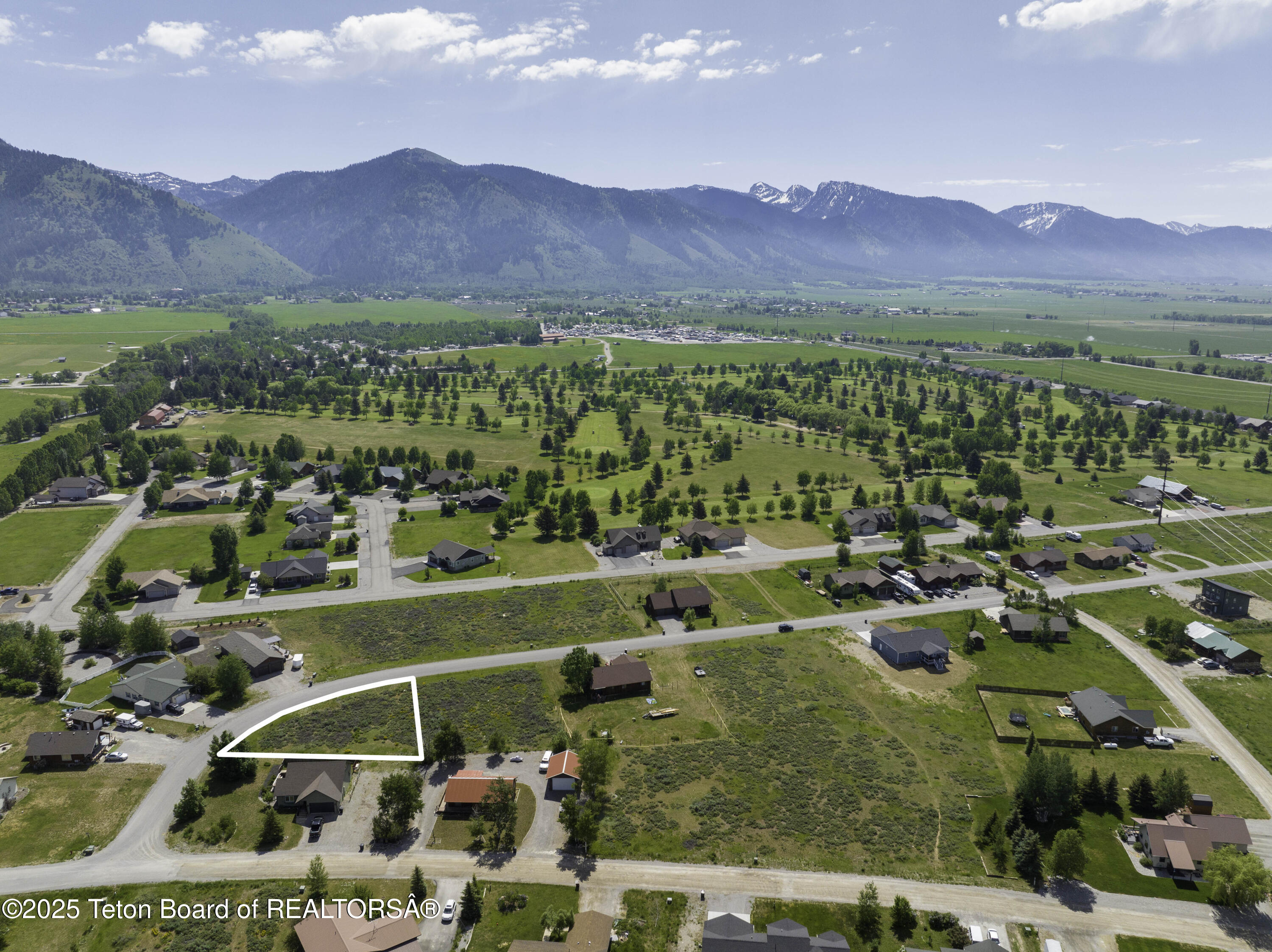 Web - L42 Scrub Oak-5