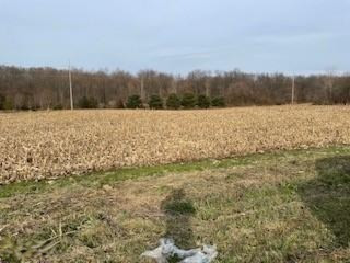 Andrews Road Buchanan, MI 49107 - Photo 3 of 5 andrew2
