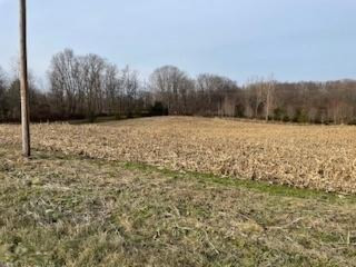 Andrews Road Buchanan, MI 49107 - Photo 4 of 5 andrew3