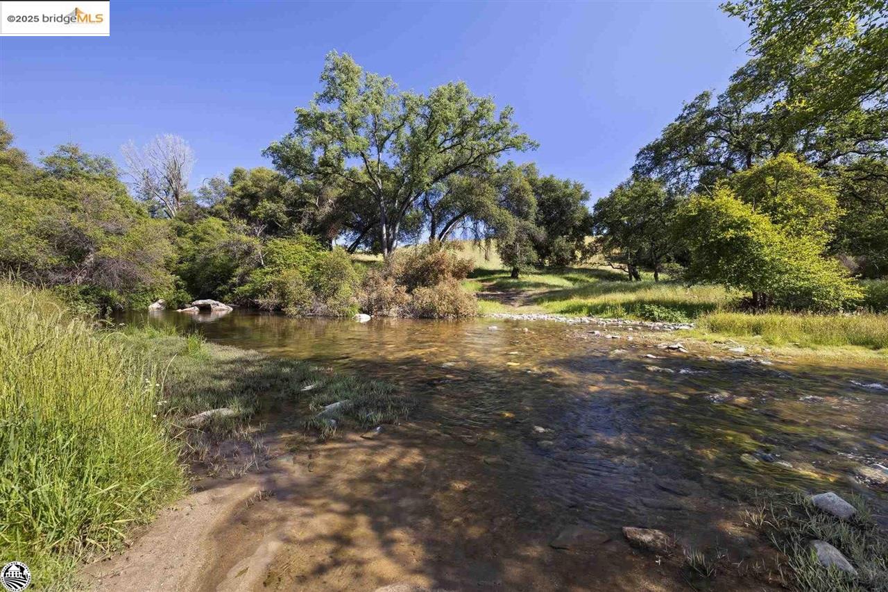 11391 Algerine Road Jamestown, CA 95327 - Photo 1 of 1 View of road with a water view