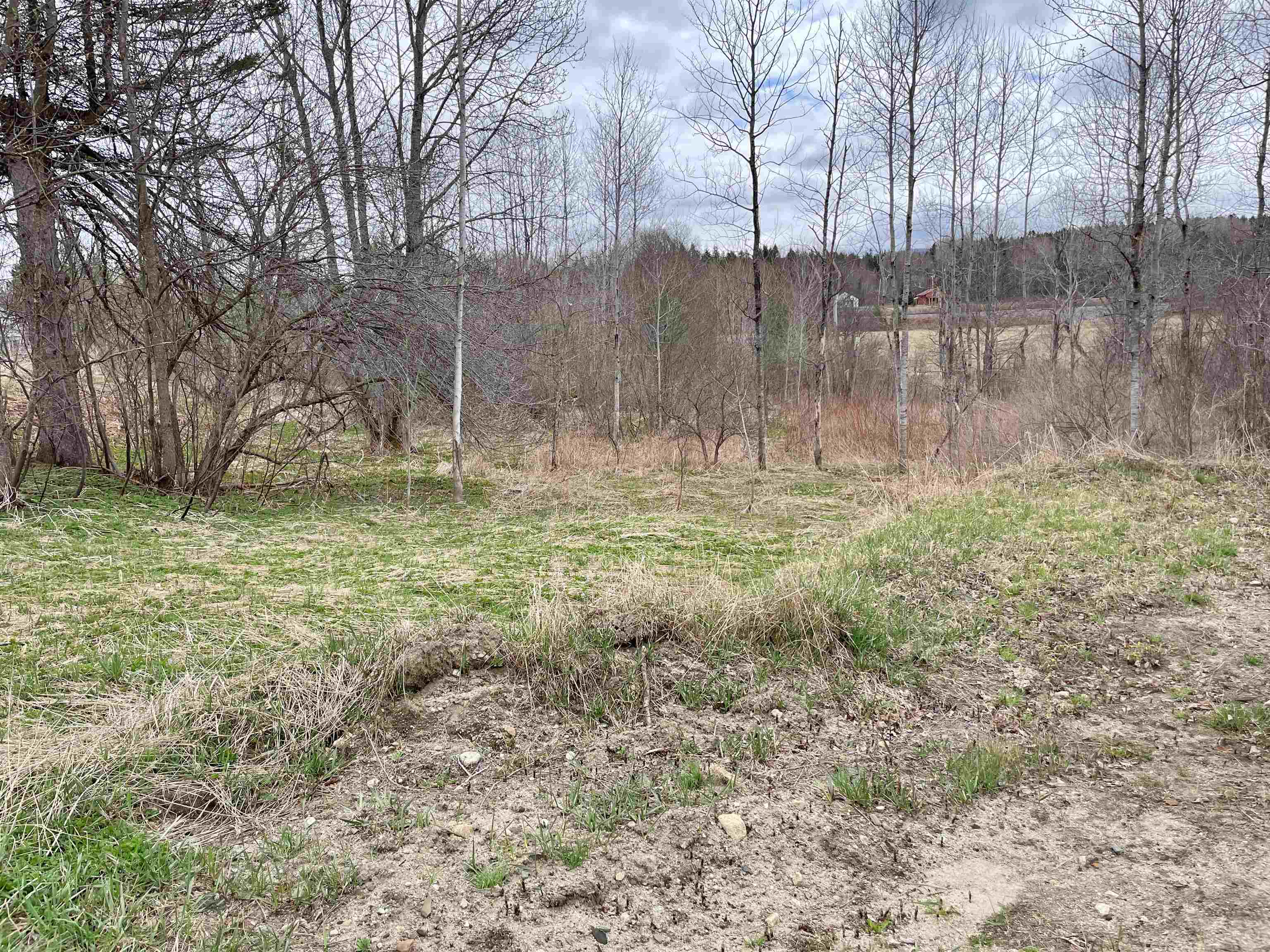 0 Baumann Road Norton, VT 05907 - Photo 4 of 20