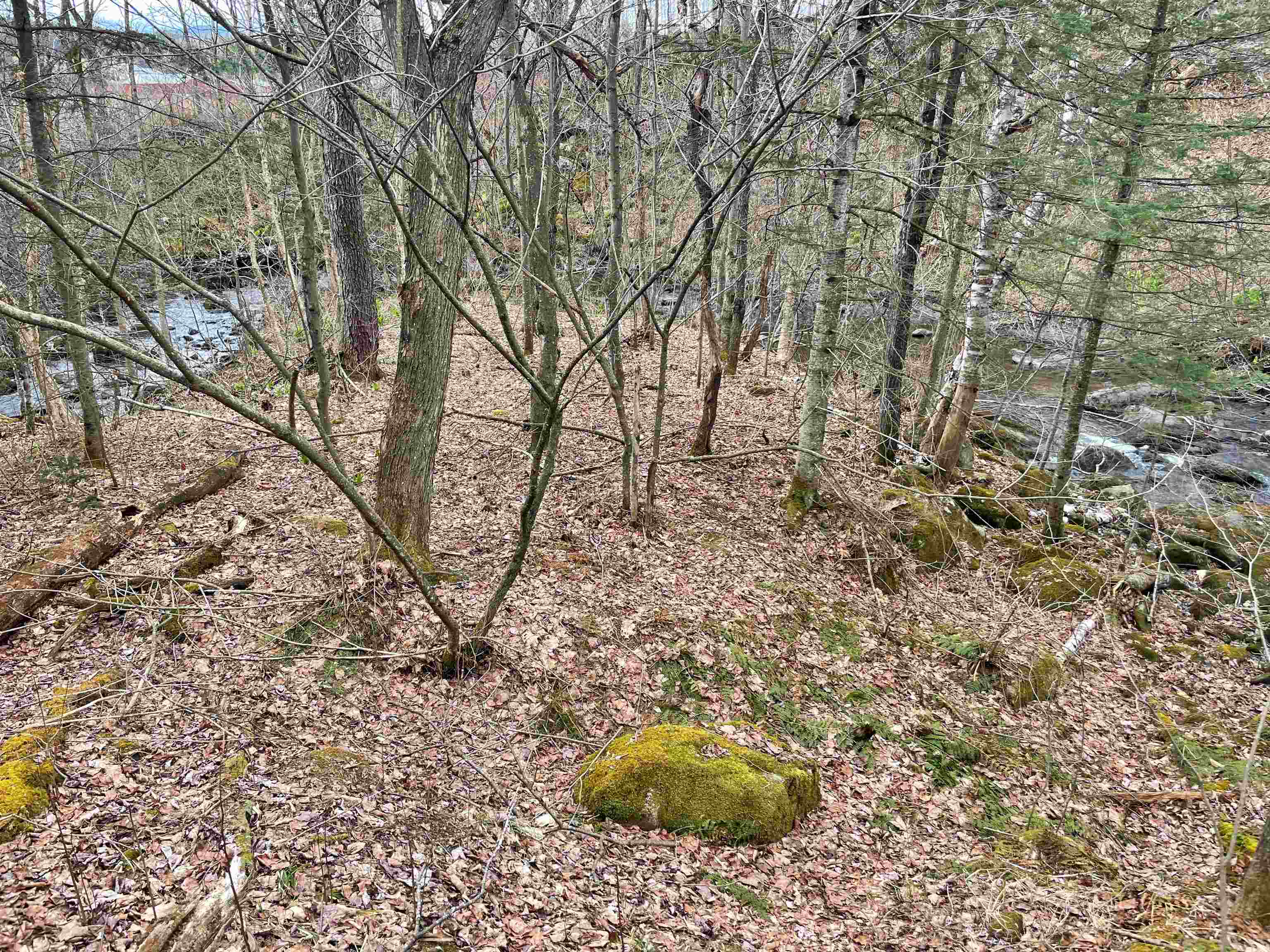0 Baumann Road Norton, VT 05907 - Photo 7 of 20