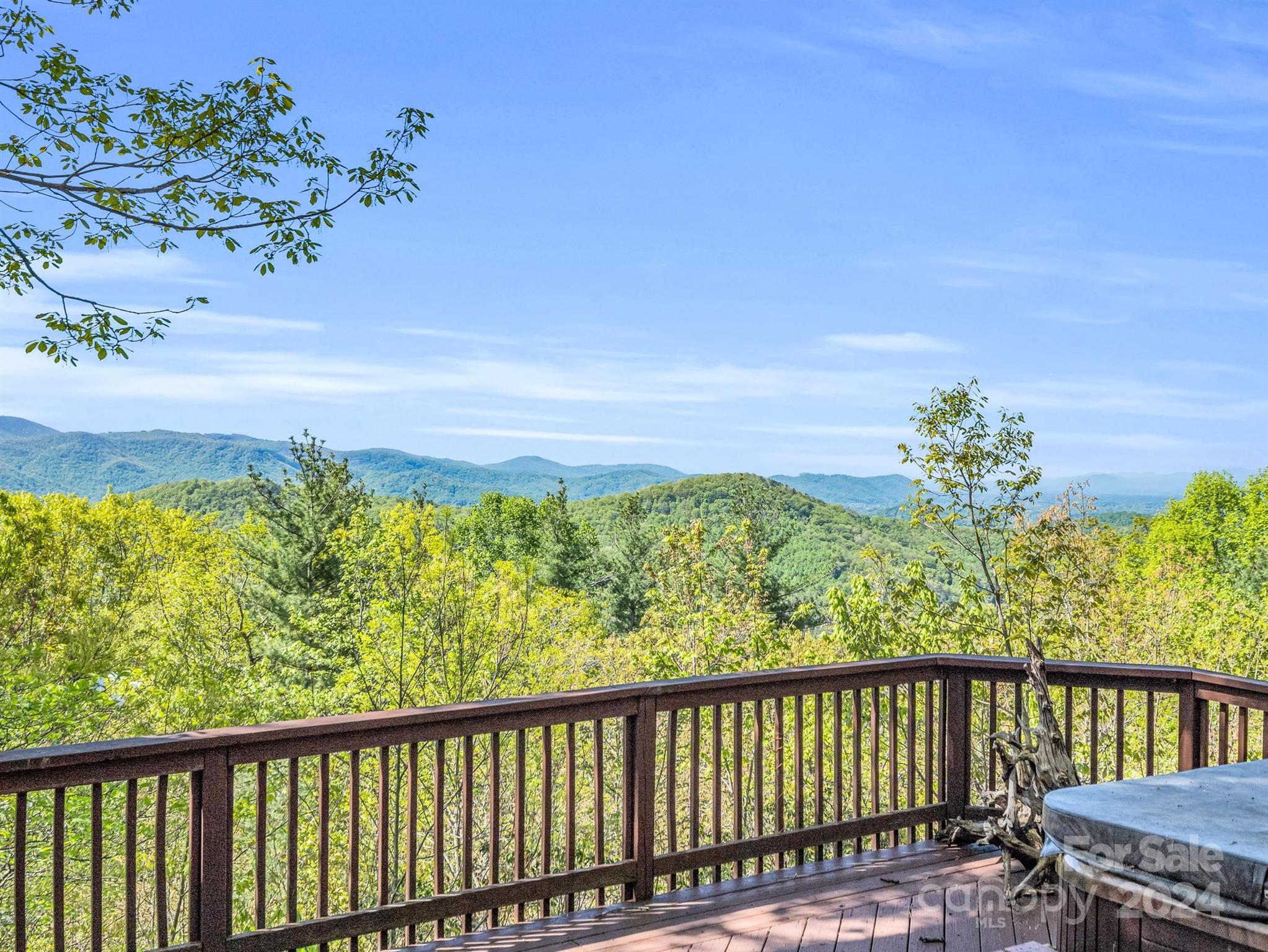 195 Spring Mountain Road Fairview, NC 28730 - Photo 4 of 39 Gallery Image 4