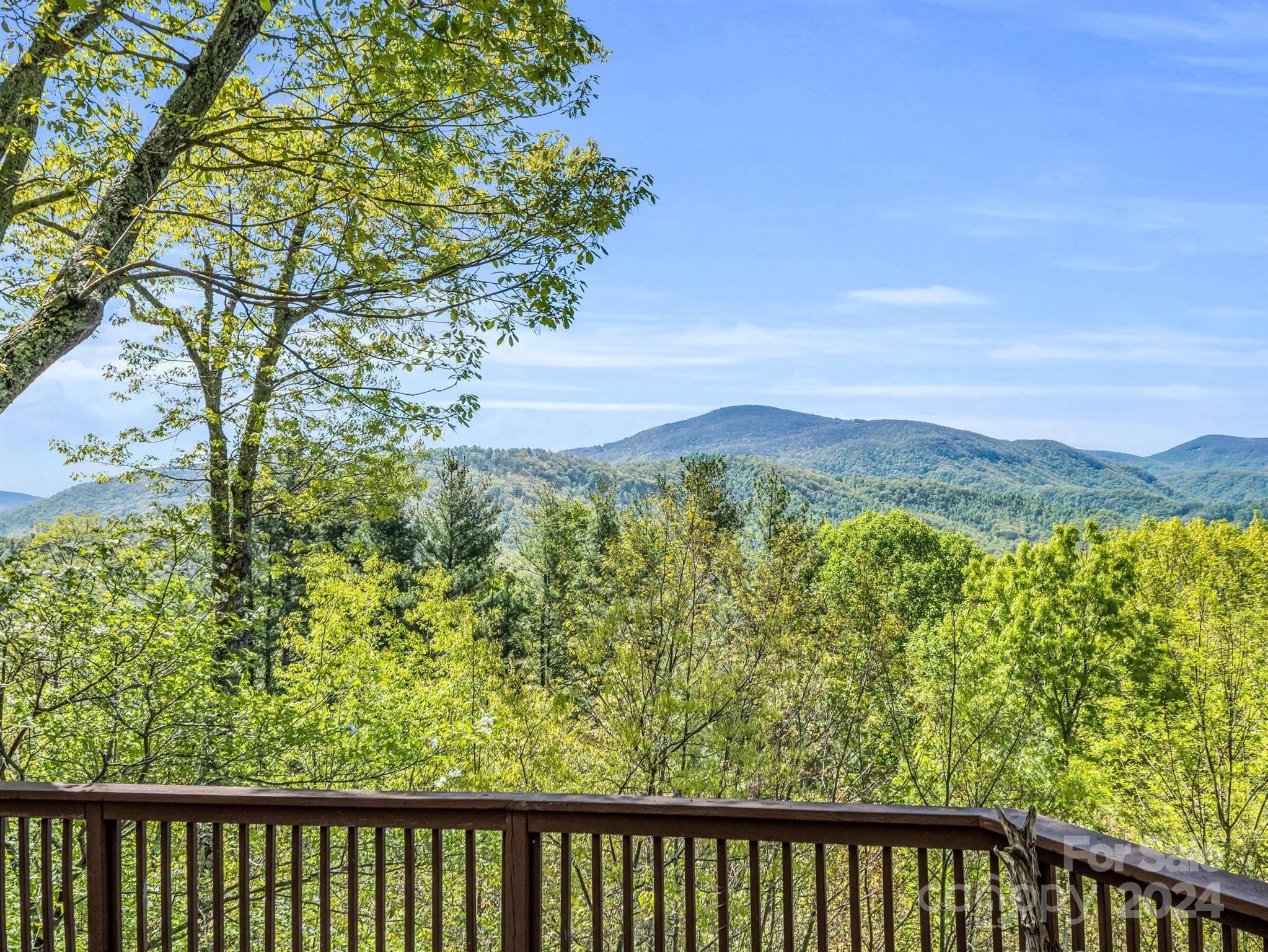 195 Spring Mountain Road Fairview, NC 28730 - Photo 5 of 39 Gallery Image 5