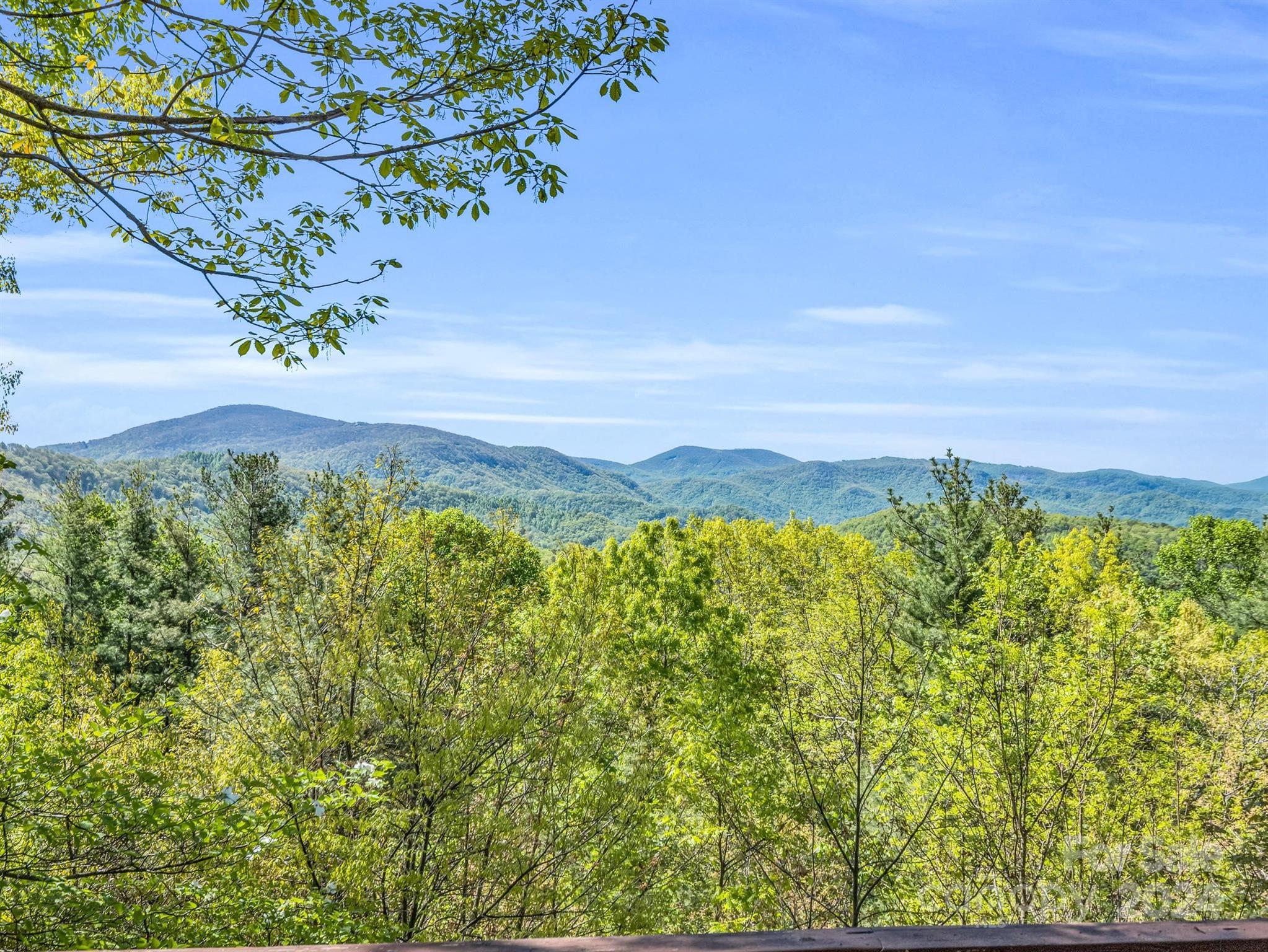 195 Spring Mountain Road Fairview, NC 28730 - Photo 7 of 39 Gallery Image 7