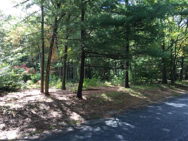 25A Deacon Haynes Road Concord, MA 01742 - Photo 3 of 4