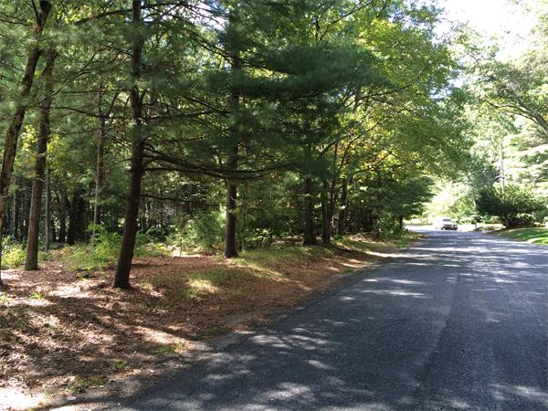 25A Deacon Haynes Road Concord, MA 01742 - Photo 4 of 4