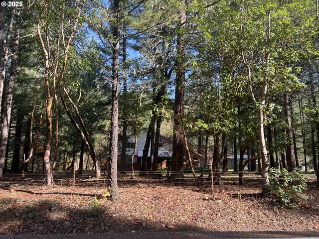 a backyard of a house with lots of green space