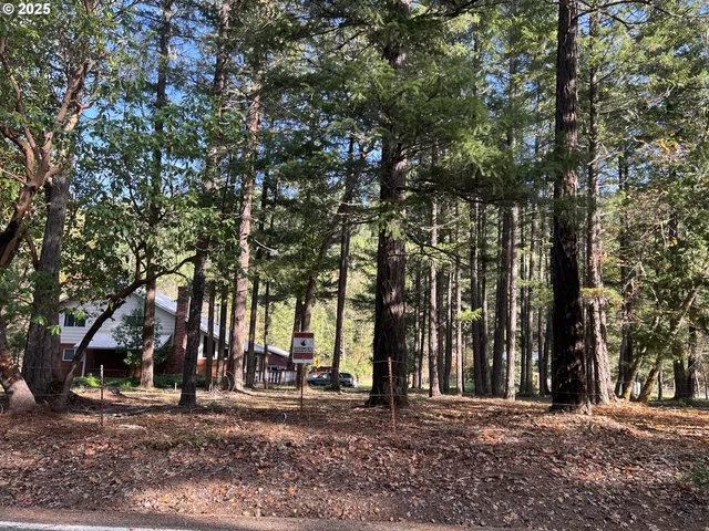 a view of road with trees