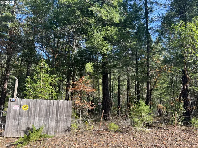a view of outdoor space and yard