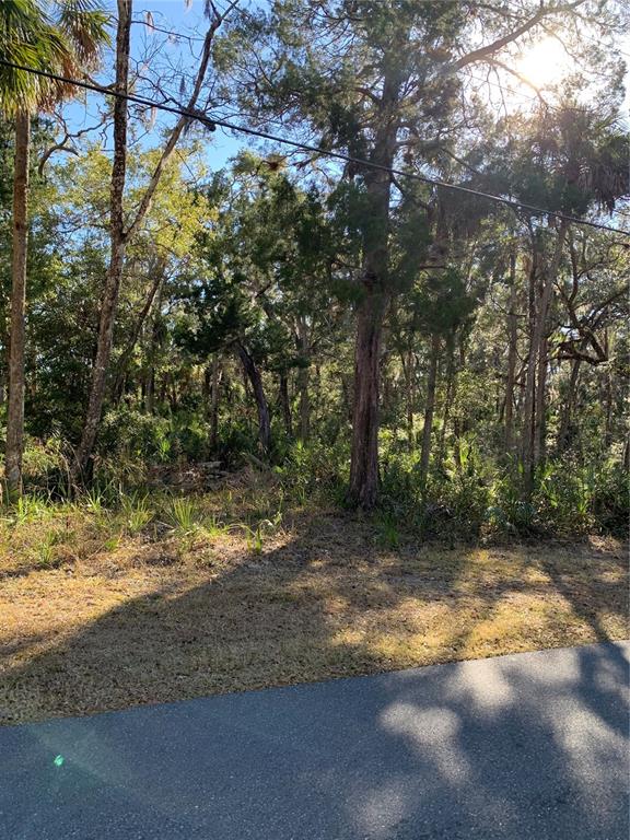 12148 West Standish Drive Homosassa, FL 34448 - Photo 5 of 10 a view of a yard with a tree