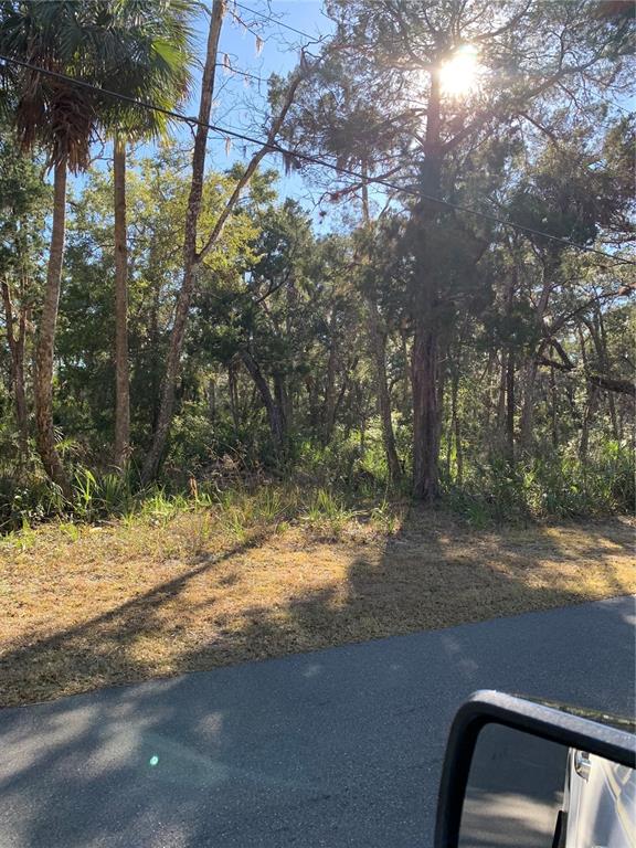 12148 West Standish Drive Homosassa, FL 34448 - Photo 6 of 10 a backyard of a house with lots of green space
