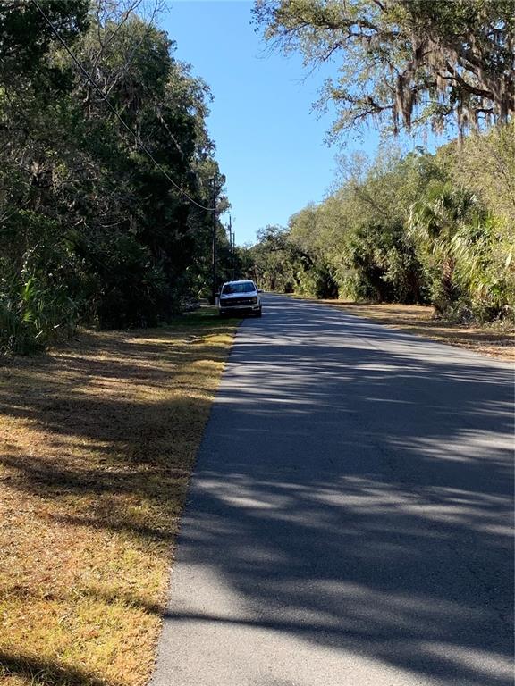 12148 West Standish Drive Homosassa, FL 34448 - Photo 8 of 10 a view of street