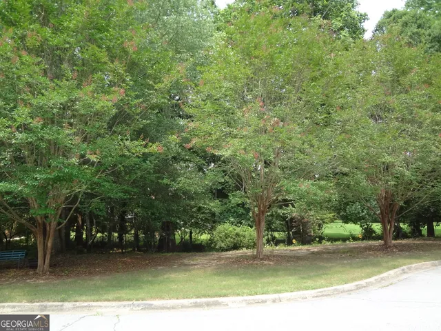 a view of a yard with plants and trees