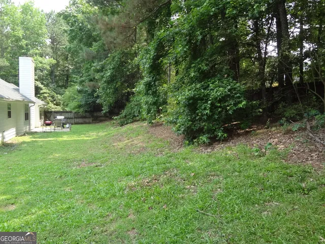 a view of a big yard with plants and large trees