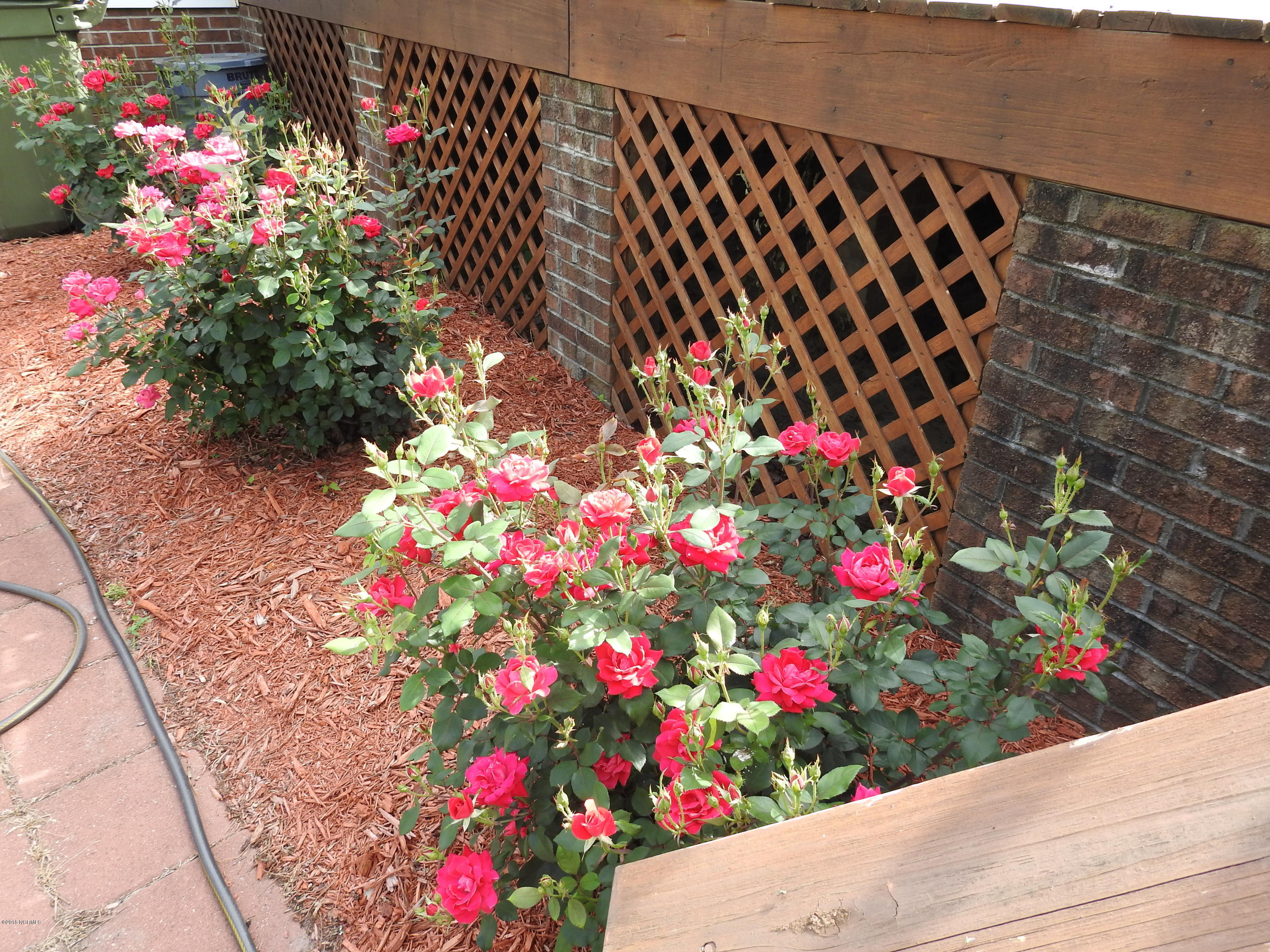 3865 Edwards Road Grimesland, NC 27837 - Photo 30 of 38 Lovely Flowers
